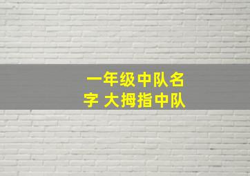 一年级中队名字 大拇指中队